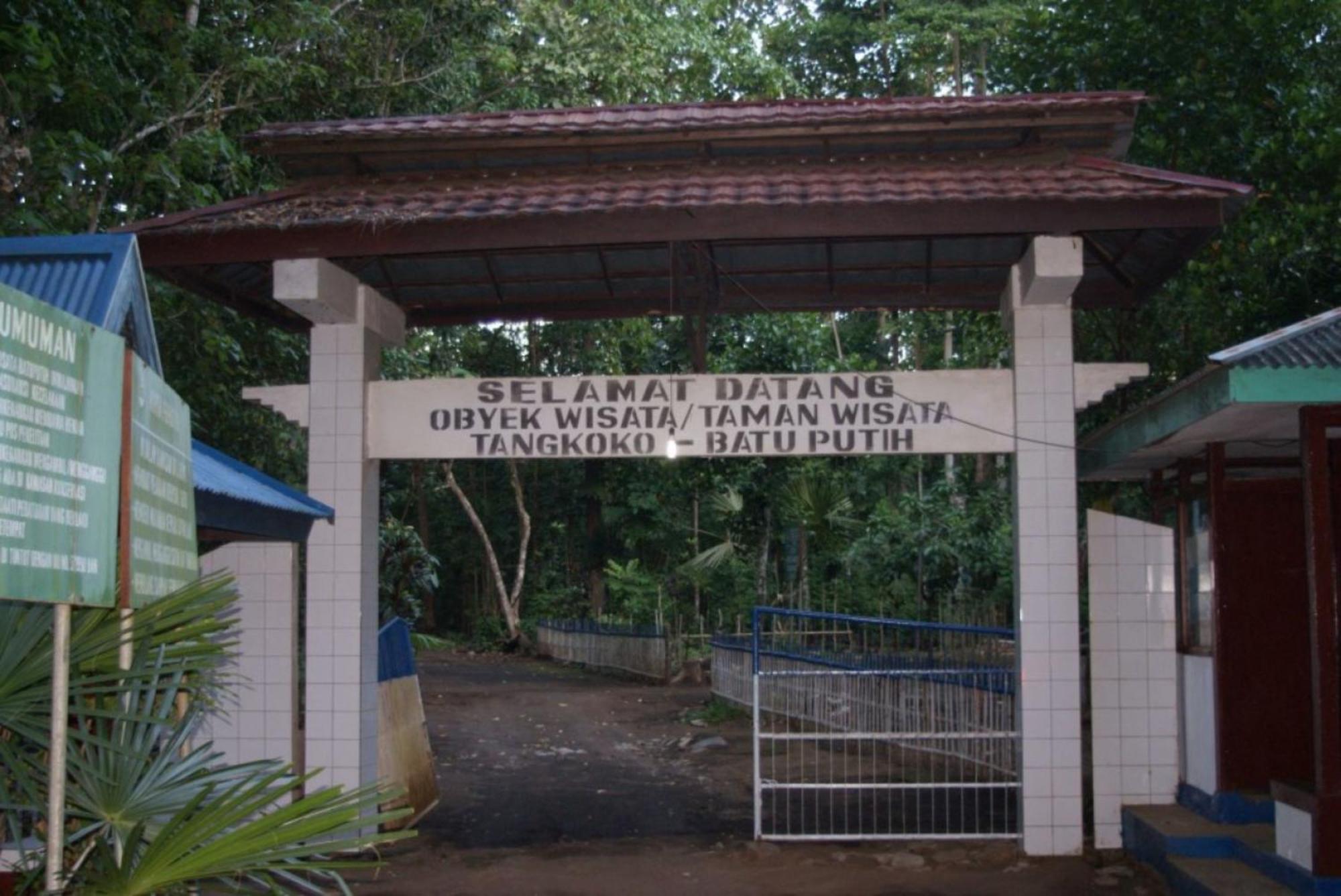 Tangkoko Macaca Hotel Rinondoran Exterior photo